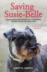 Saving Susie Bell PB Cover_Saving Susie Bell PB Cover