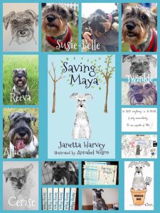 13501634_10209527914096868_5122028759574491076_n