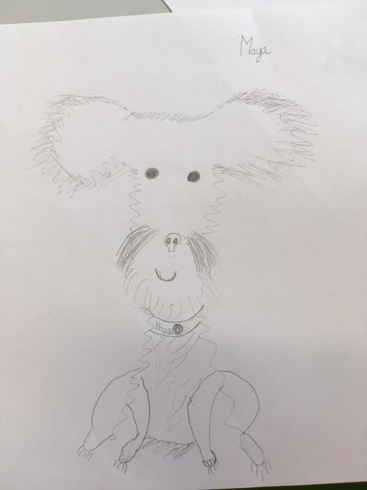 14495303_1258504084180452_4914033102748427611_n